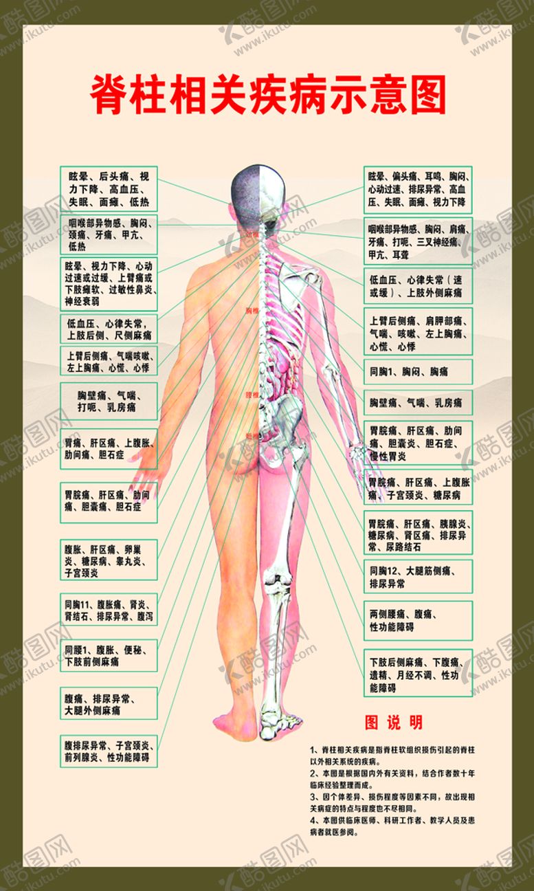 编号：29503109191954388354【酷图网】源文件下载-中医穴位