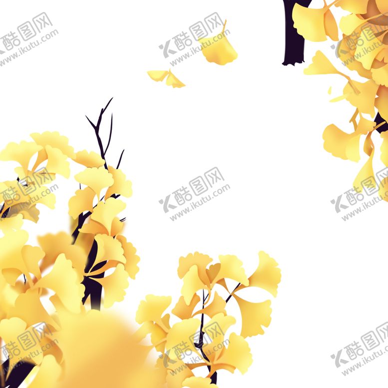 编号：63568205101203253762【酷图网】源文件下载-秋天银杏叶