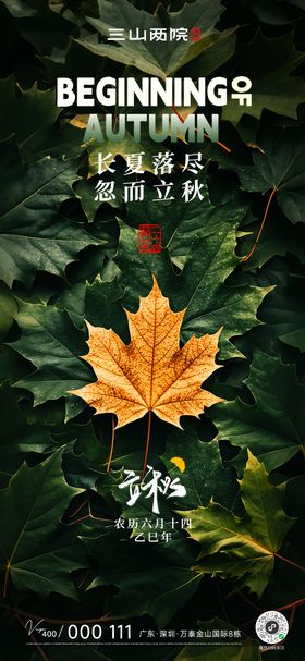 立秋秋分节气黄色枫叶高级文艺节气海报