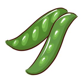 豆子手绘