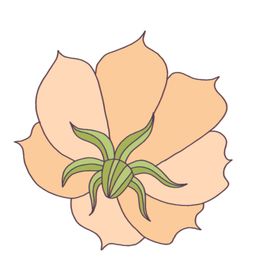花朵蝴蝶卡通图案