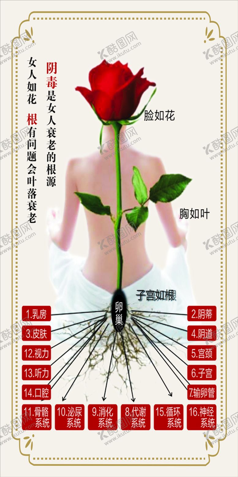 编号：29982911261705222033【酷图网】源文件下载-女人如花