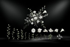 婚礼效果图西式高端简约蓝色星空