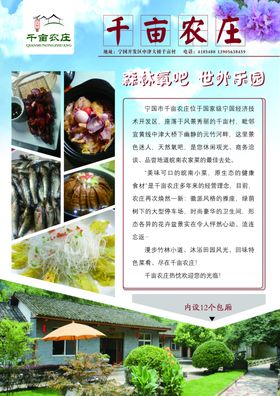 彩页单页宣传册