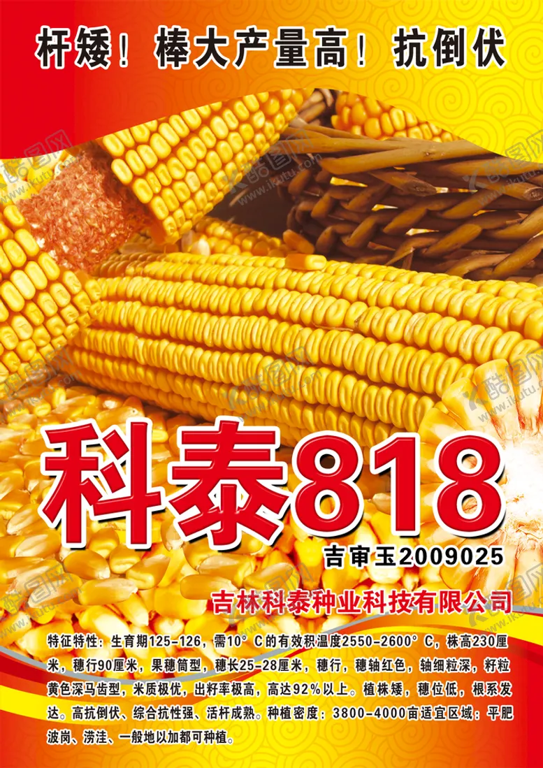 编号：16472909141908433260【酷图网】源文件下载-玉米摄影生物世界