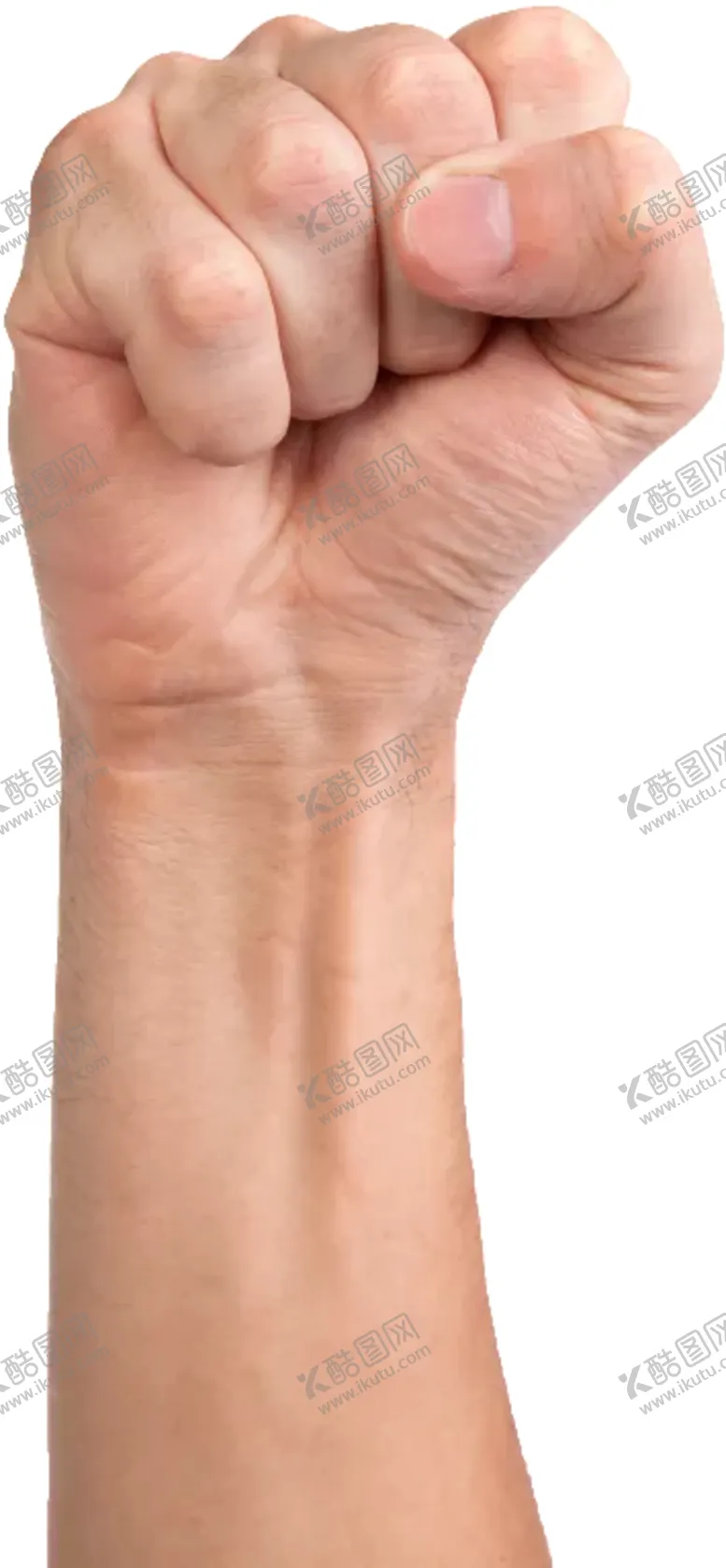 编号：49088906272104225686【酷图网】源文件下载-拳头