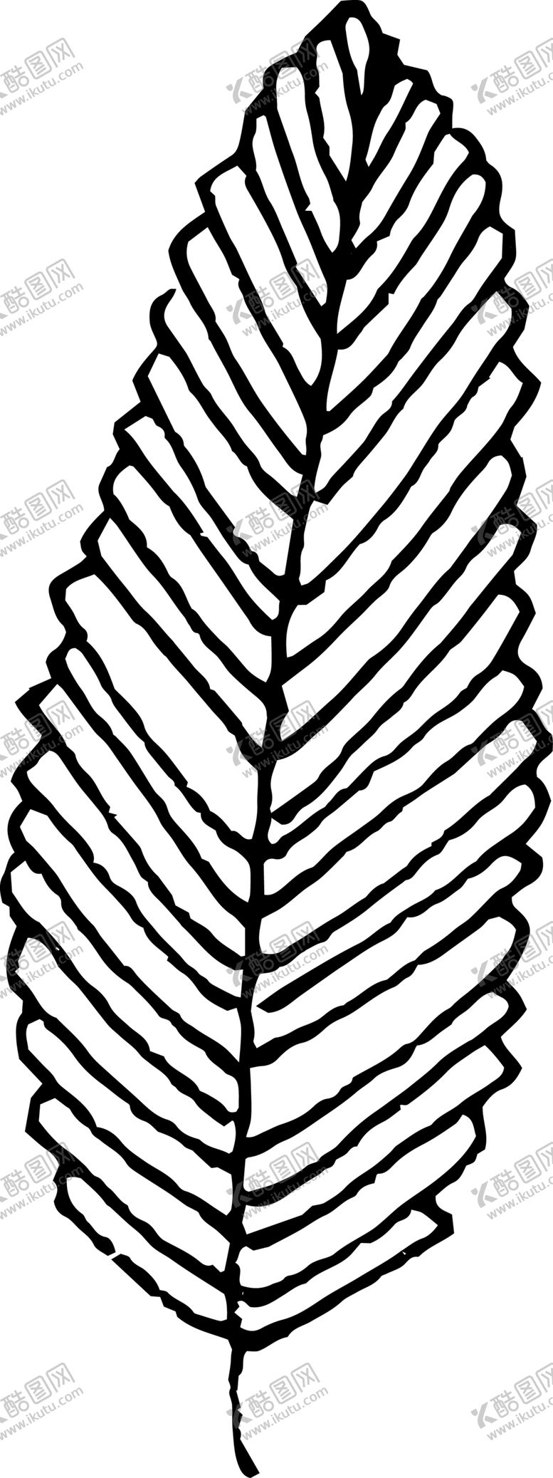 编号：81333910050140004608【酷图网】源文件下载-创意手绘羽毛