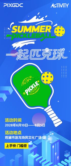 匹克球海报