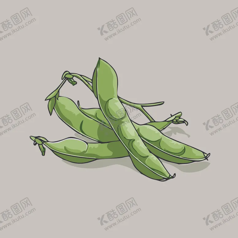 编号：65057602040105419431【酷图网】源文件下载-手绘毛豆角卡通蔬菜矢量插画