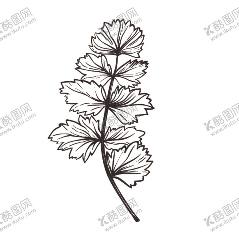 编号：93807009290052348373【酷图网】源文件下载-素描绘画植物花朵