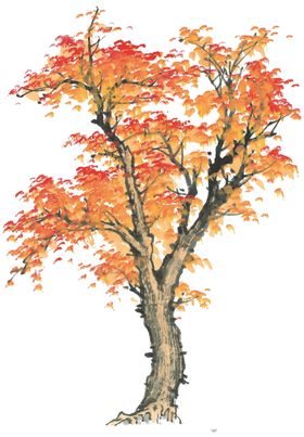 装饰素材
