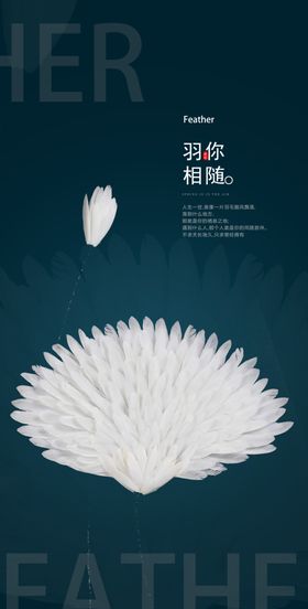 羽毛造型花卉