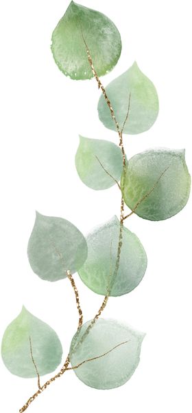 北欧小清新水彩植物图案