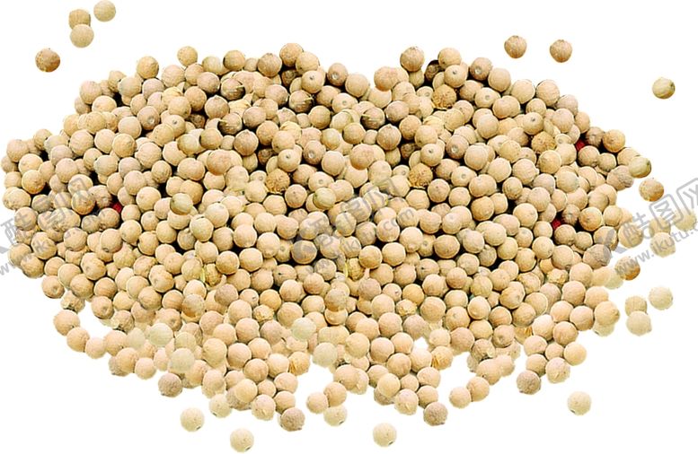 编号：29432609292033494879【酷图网】源文件下载-胡椒粒