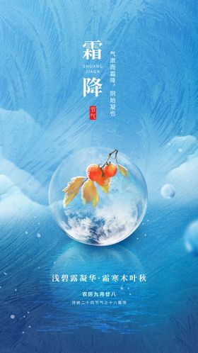 霜降冬天节气海报冰