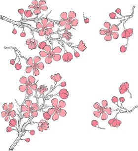 樱花素材图片手绘节活动枝