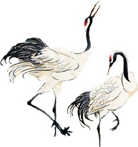 仙鹤鹤鹤鸟飞鸟鸟儿小