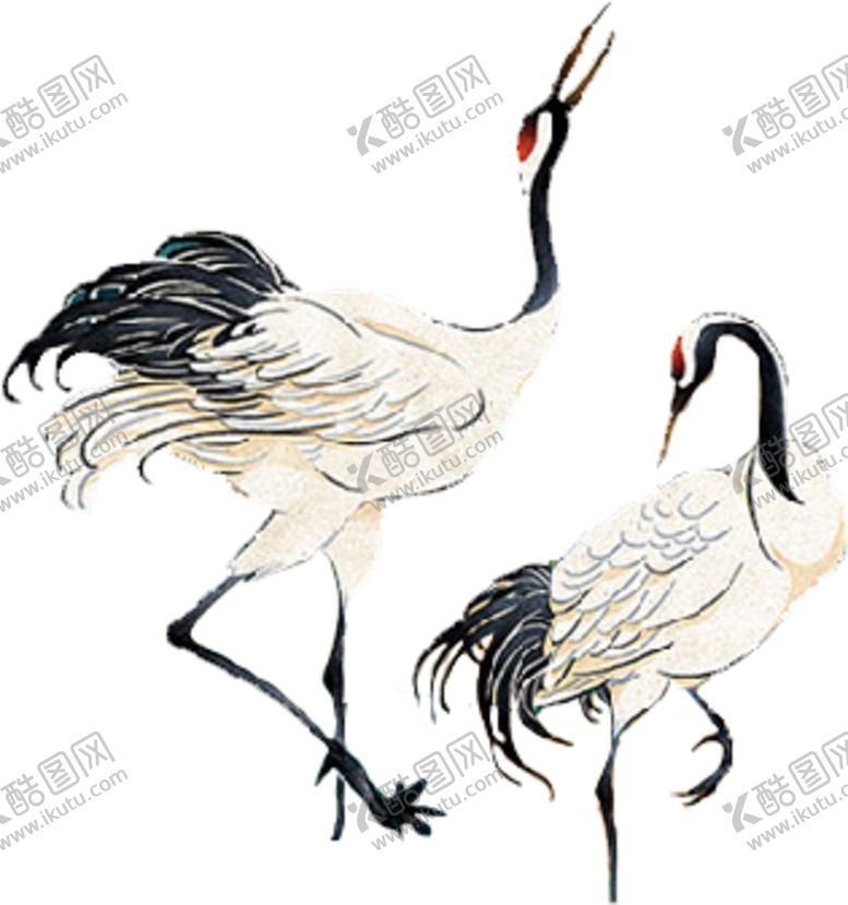编号：18866405111117596271【酷图网】源文件下载-仙鹤鹤鹤鸟飞鸟鸟儿小