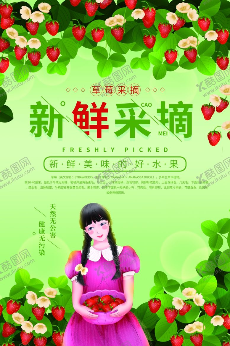 编号：61707606242204065095【酷图网】源文件下载-草莓采摘