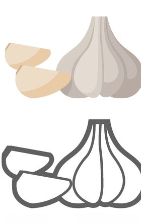 大蒜手绘