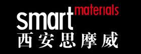 smart车标