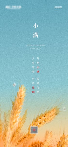 小满节气海报二十四麦穗油画