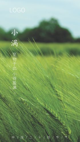 小满海报节气节气海报节气图