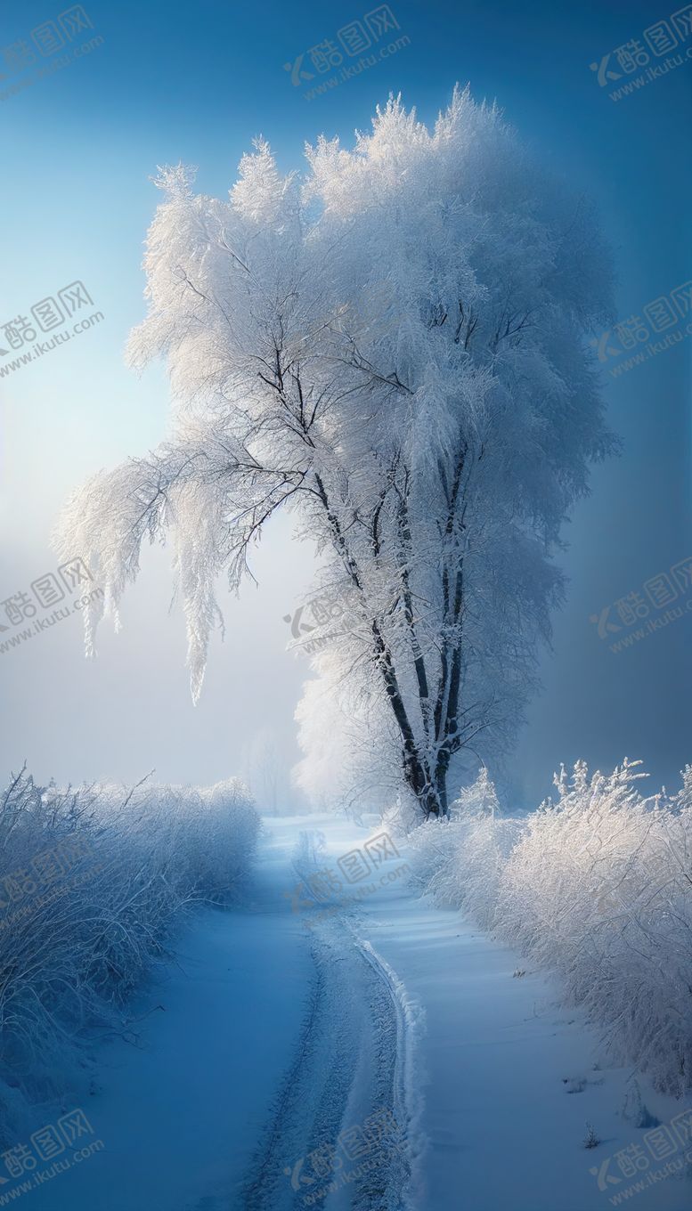 编号：38083401272240054689【酷图网】源文件下载-雾凇雪景