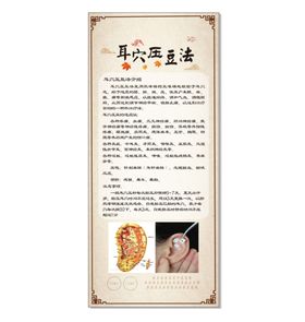 中医院耳穴压豆法展架