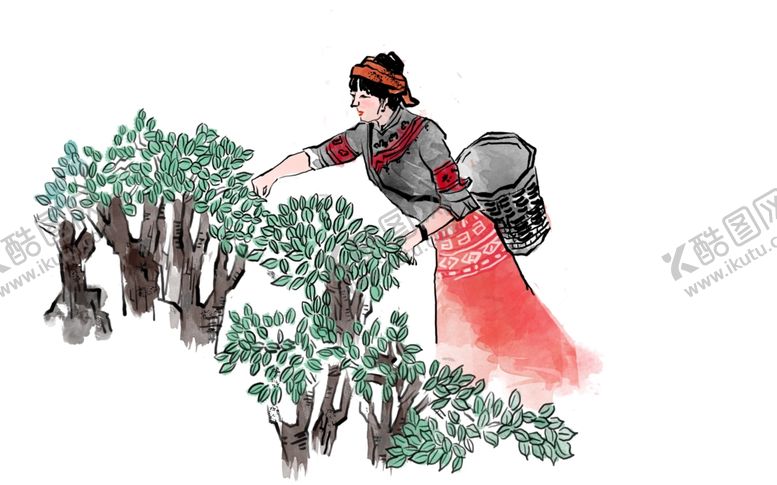 编号：61679010270019469207【酷图网】源文件下载-采茶姑娘