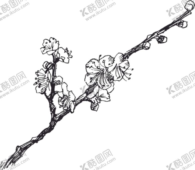 编号：94274809290240114662【酷图网】源文件下载-素描鲜花