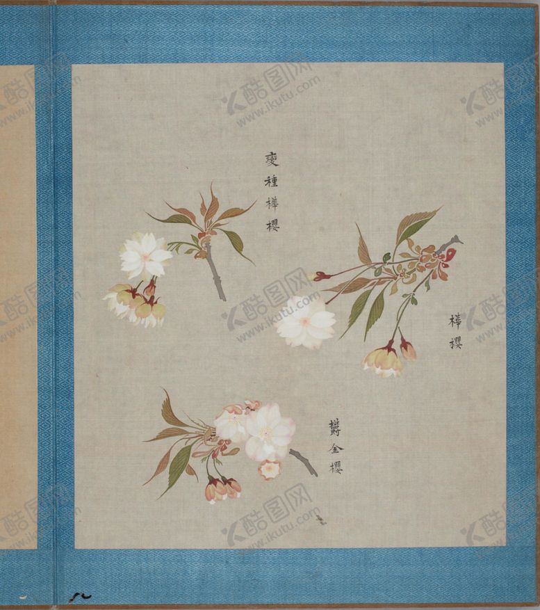 编号：96945504180446069732【酷图网】源文件下载-樱花