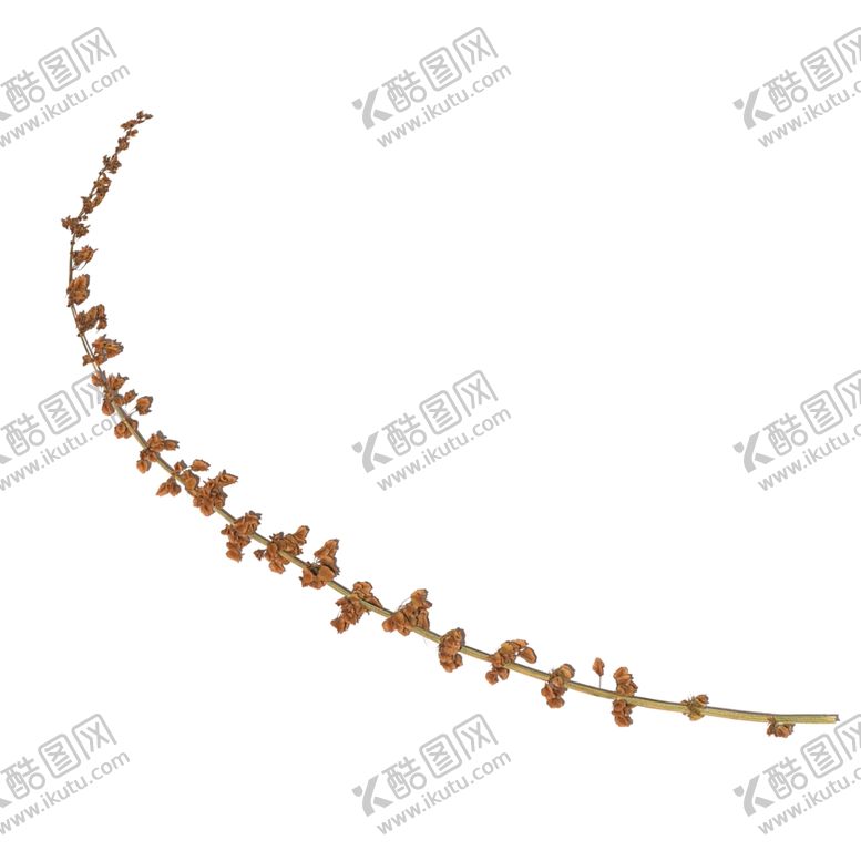 编号：76959010011240518546【酷图网】源文件下载-树叶