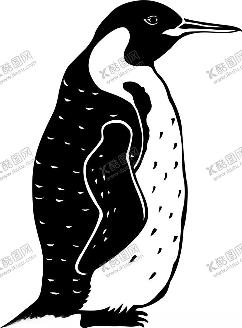 编号：41925502170456475502【酷图网】源文件下载-手绘企鹅