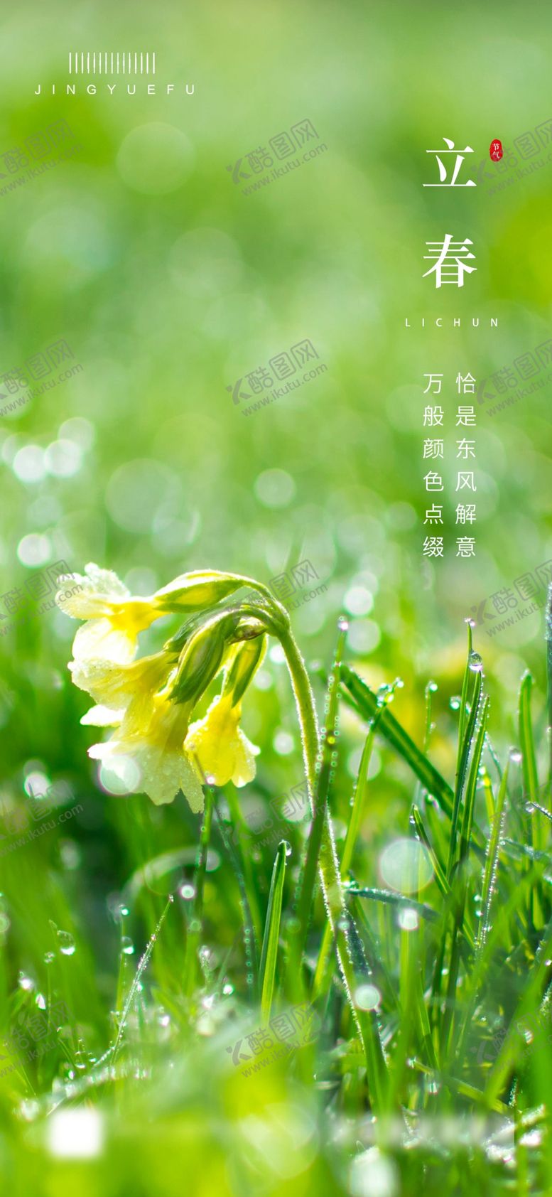 编号：80720512130139385042【酷图网】源文件下载-立春飞机稿