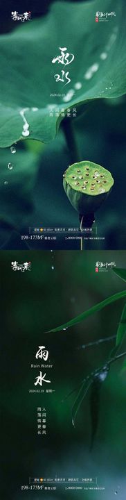 地产雨水节气海报系列二十四小清新植物
