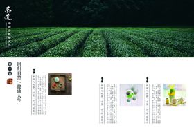 中国风茶道宣传画册