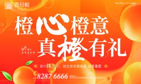 橙子水果包装