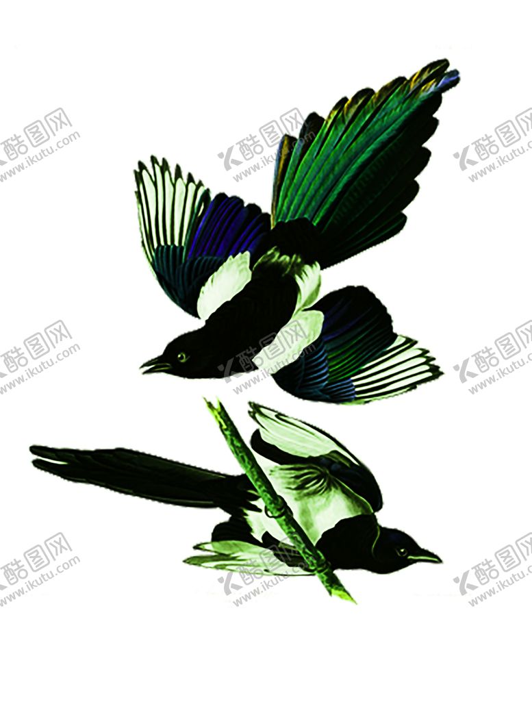 编号：49239309161350493849【酷图网】源文件下载-花素材