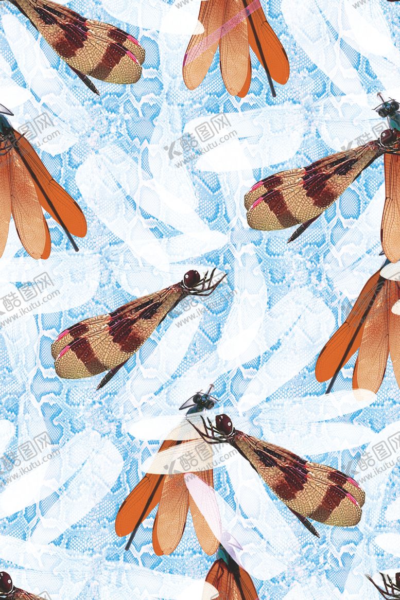 编号：93804810061155057517【酷图网】源文件下载-蜻蜓乱花