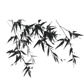 竹子竹叶