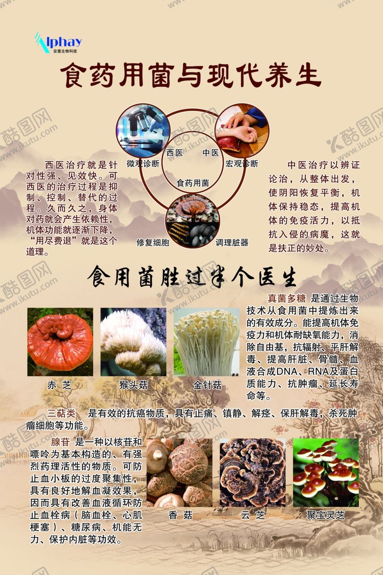 编号：34274401182059268652【酷图网】源文件下载-食药用菌现代养生海报