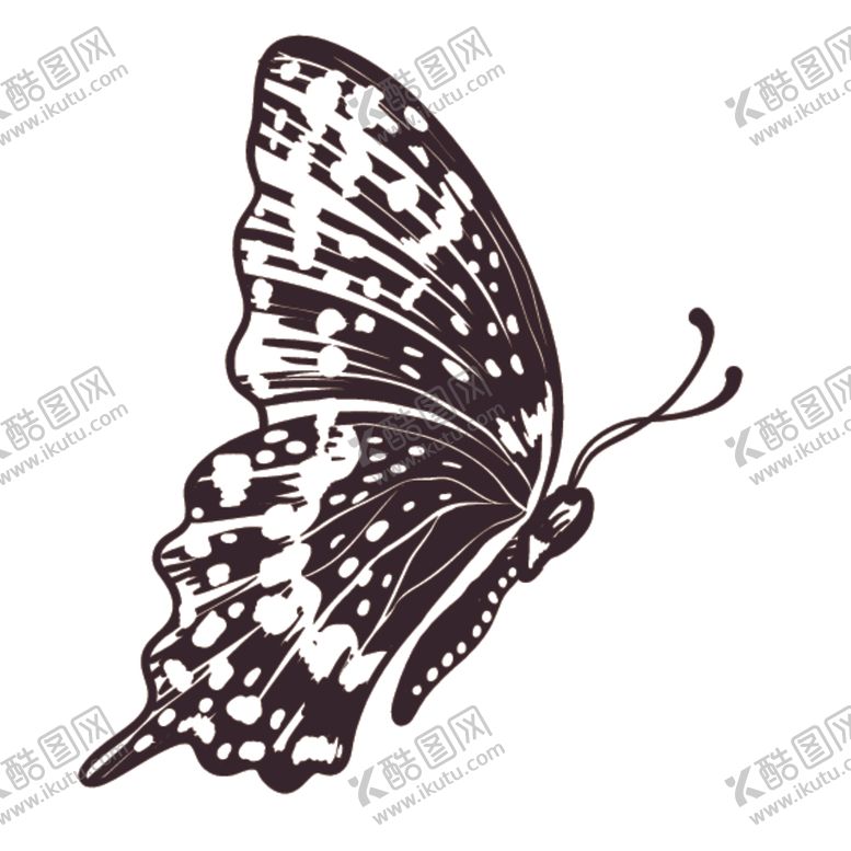编号：79258410261842128237【酷图网】源文件下载-素描绘画昆虫蝴蝶