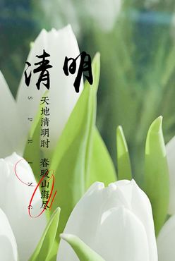 清明节清明时节促销活动