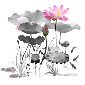 手绘线条水墨荷花