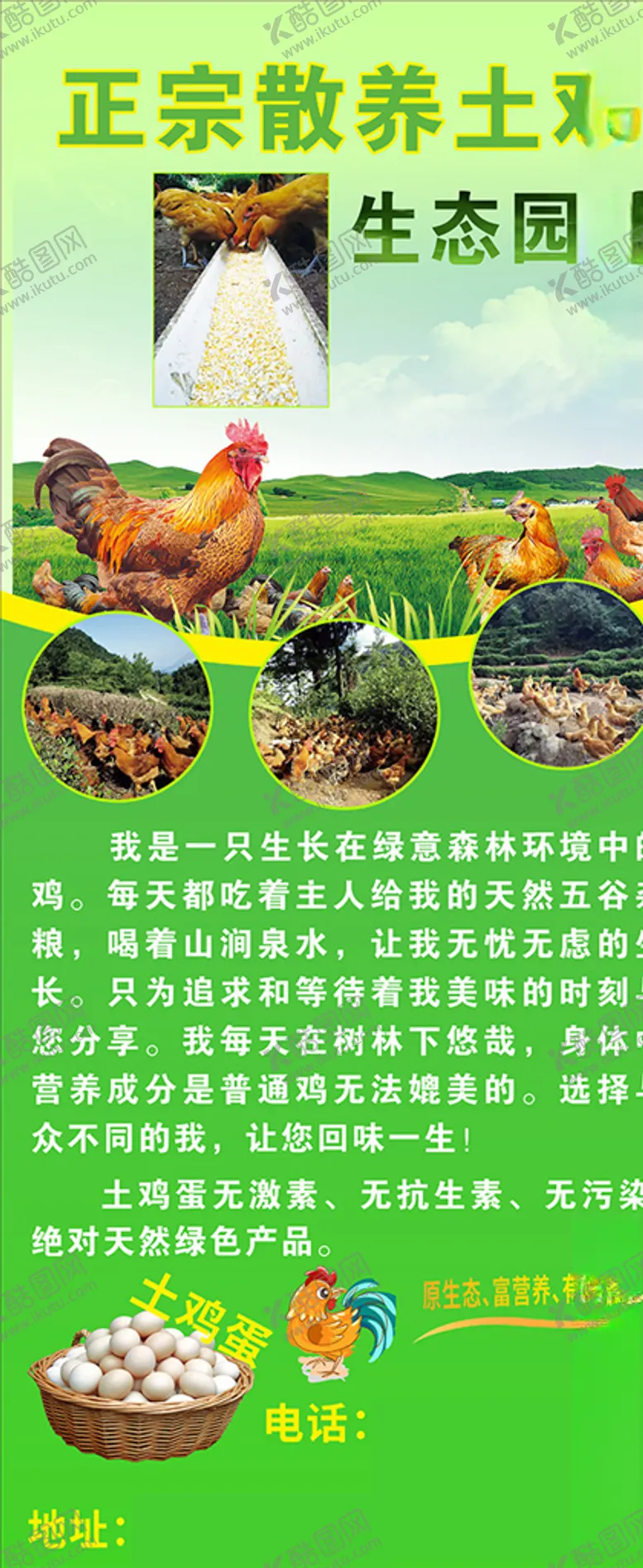 编号：21799904210334216478【酷图网】源文件下载-乡村土鸡养殖门型展架
