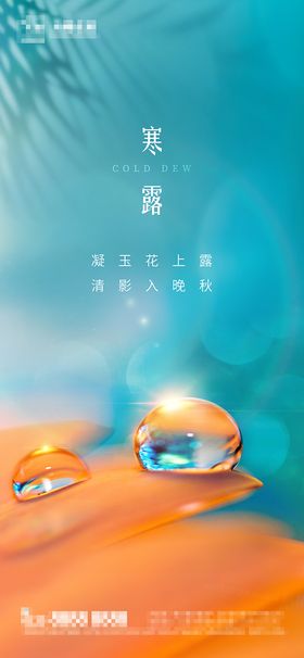 地产寒露节气海报珠二十四房光影