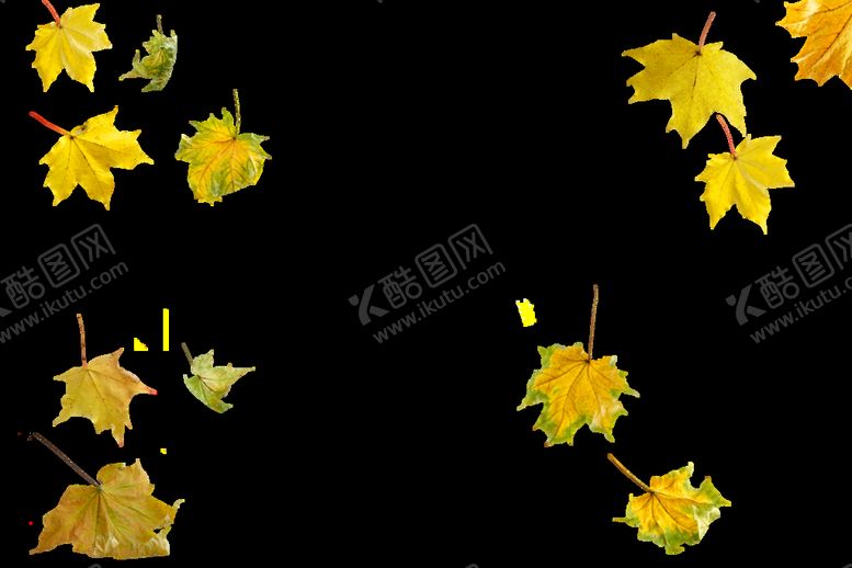 编号：61403209190417141402【酷图网】源文件下载-秋天落叶