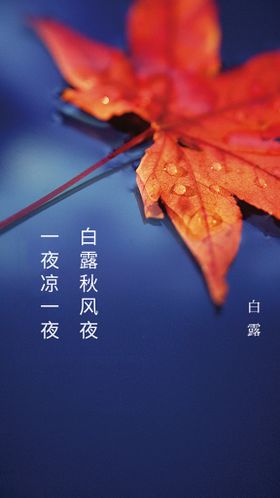 白露节气