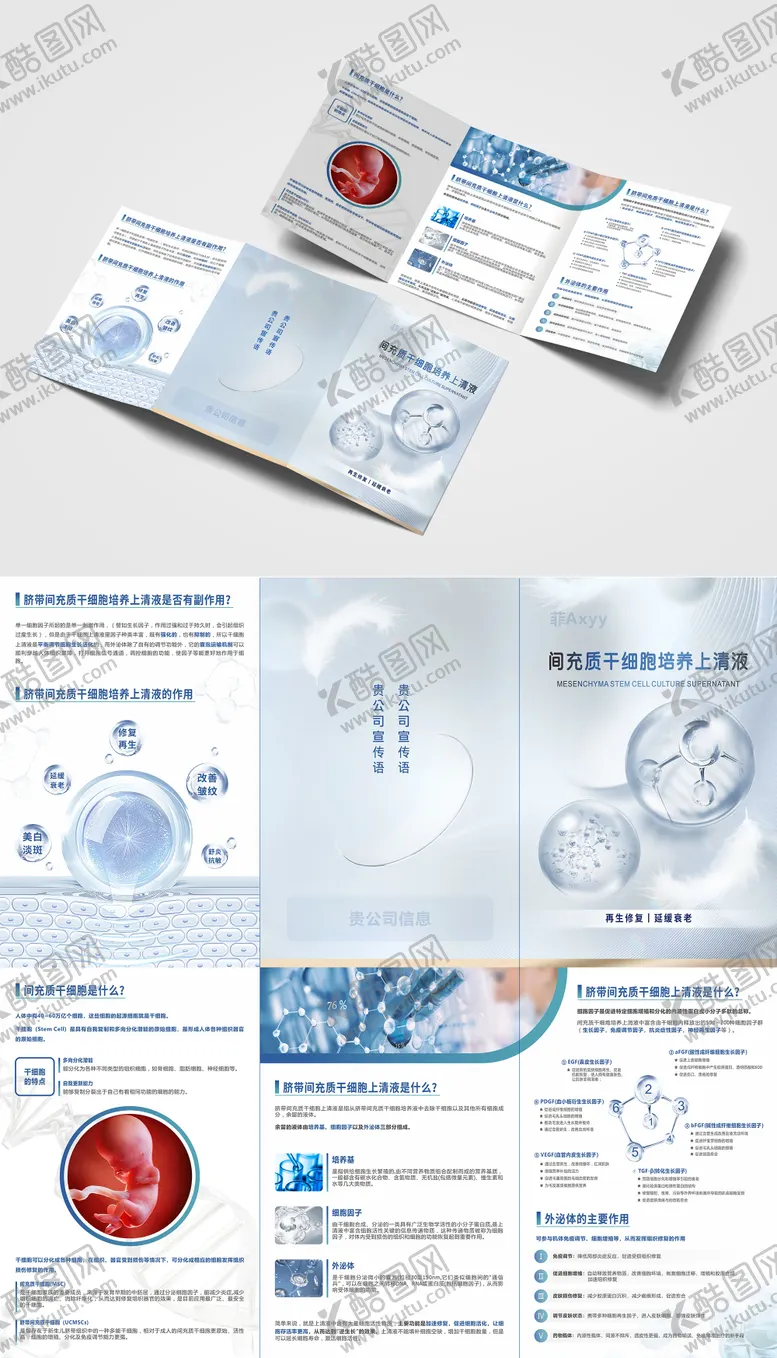 编号：35480111240716343143【酷图网】源文件下载-细胞因子宣传三折页
